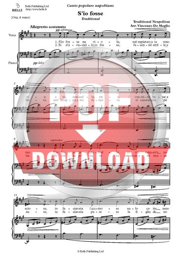 Trad. (Arr. Vincenzo De Meglio): S'io fosse